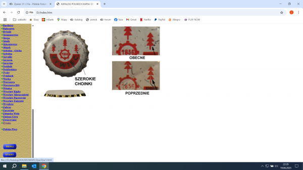 Zrzut ekranu (225).png