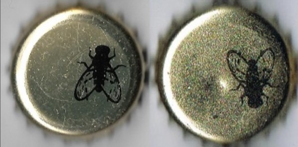 2026-02-21 Muchy.jpg